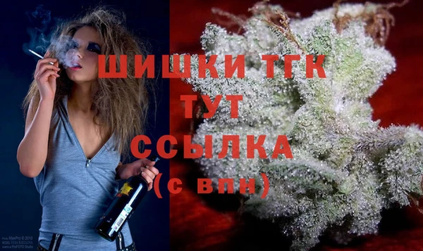 твердый Алзамай