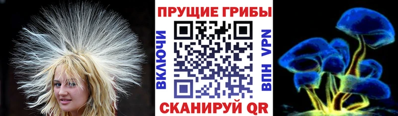 купить  сайты  Петушки  Псилоцибиновые грибы Psilocybe 